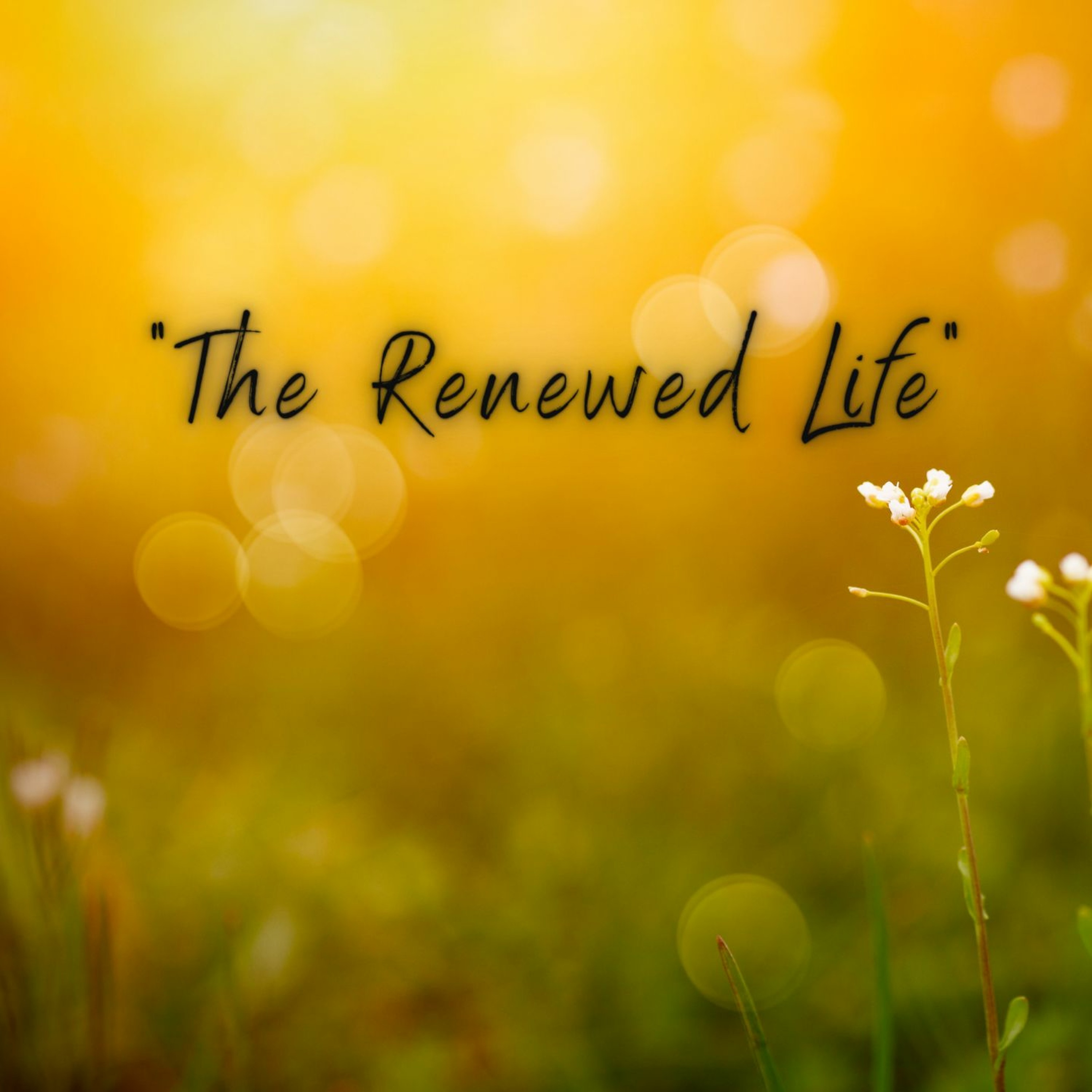 "Don't Give Up" by Magdiel Tzec || Luke 18:1-8 || February  20, 2022 episode artwork