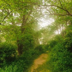 something wild in you