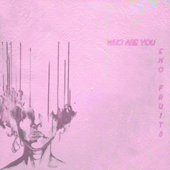 who are you (prod. jolst x taurs)