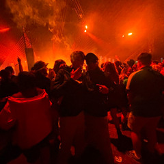 NEW YEARS MIX 2025 - JUNGLE