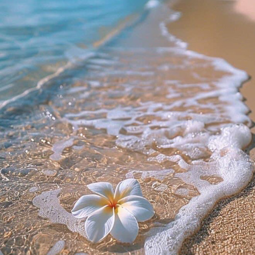 FASRU KUT SOM (comp.TulpeLiza)✨🤎