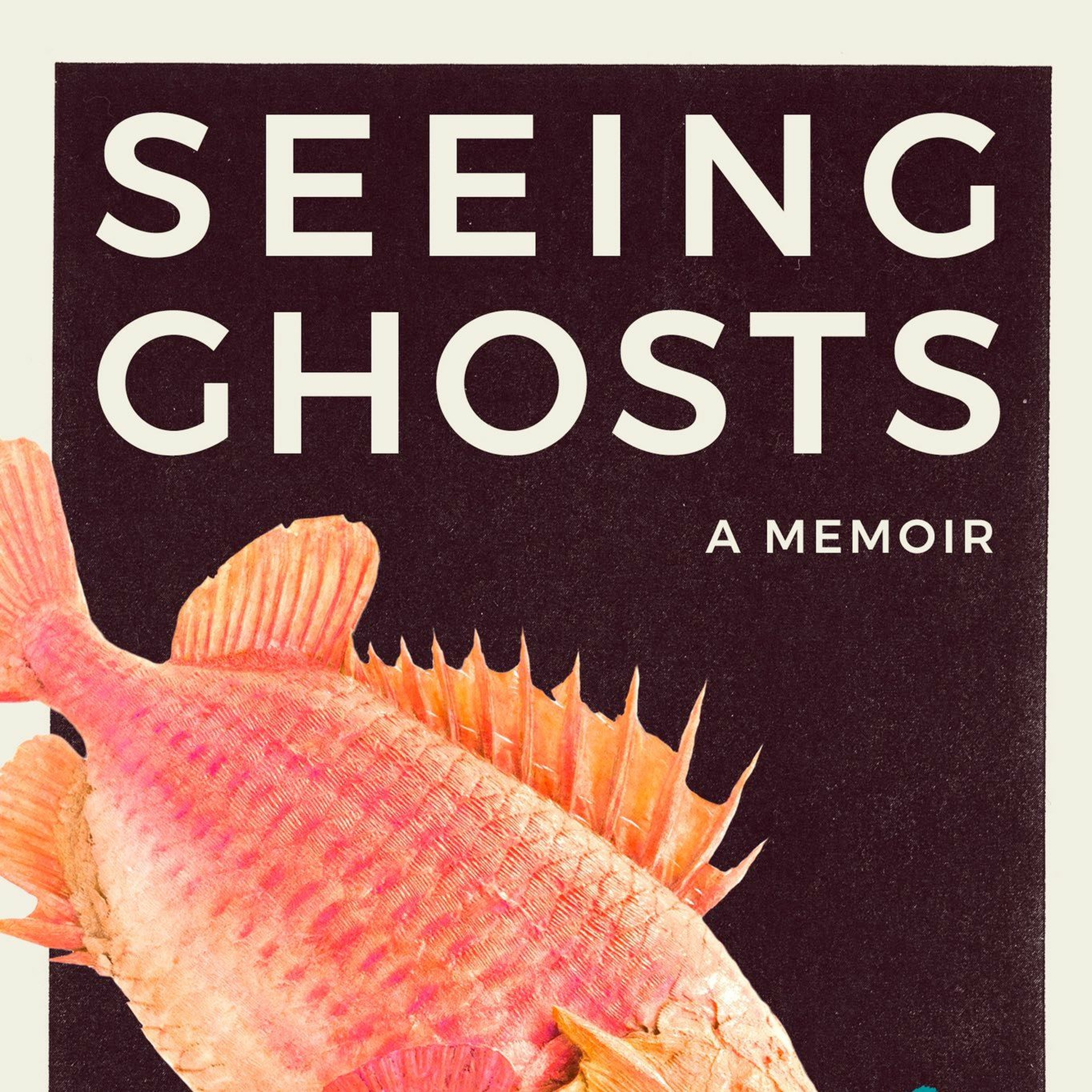 Seeing Ghosts by Kat Chow episode artwork