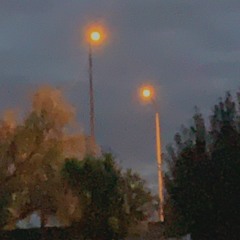 acoustic & bedroom pop