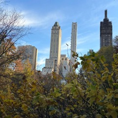 Backpackshyguy + ? - Hoog In De Lucht [prod. foko + 29 Millions]