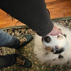 Revealing the Quark (Demo)