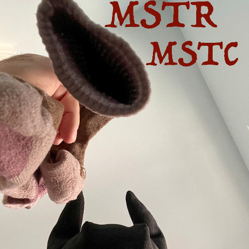 The Worlds Greatest Sock Detective