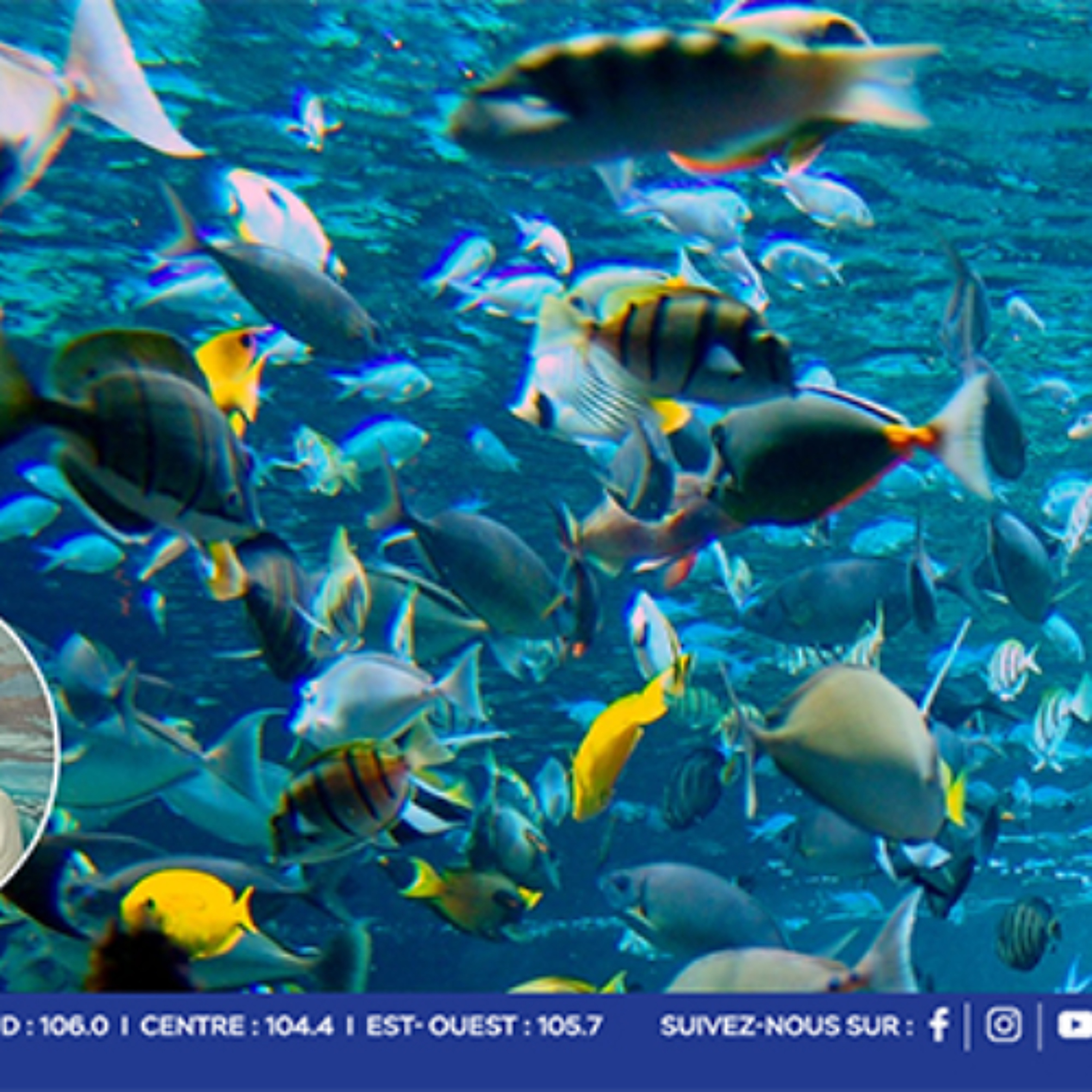 Vision 2050 : #Savetheblu crée un corridor bleu dans le Sud-Ouest episode artwork