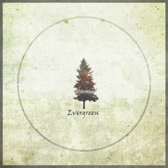 Flight Paths - Evergreen