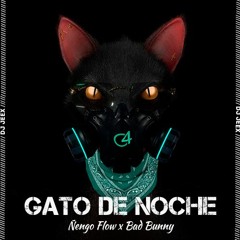 [95] - Gato De Noche - Ñengo Flow x Bad Bunny • [DJ Jeex]