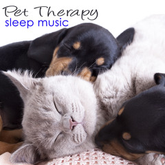 Music for Cats (Ocean Waves Nature Sounds Music for Sleeping)