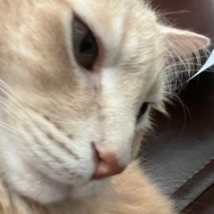 Waiting for My Ruca -Sublime (Juicycat Rework)