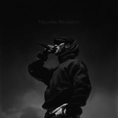 Nouvelle Révolution
