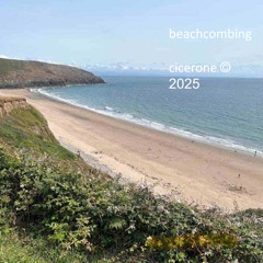beachcombing