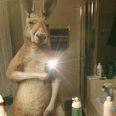 DnD (Dåse dans) - DÆVID X MAGGA