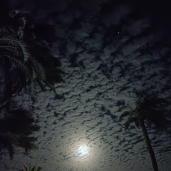 Fairuz |  يالا تنام