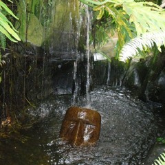 𝖕𝖆𝖕𝖊𝖗 ((PROD. CIRO))