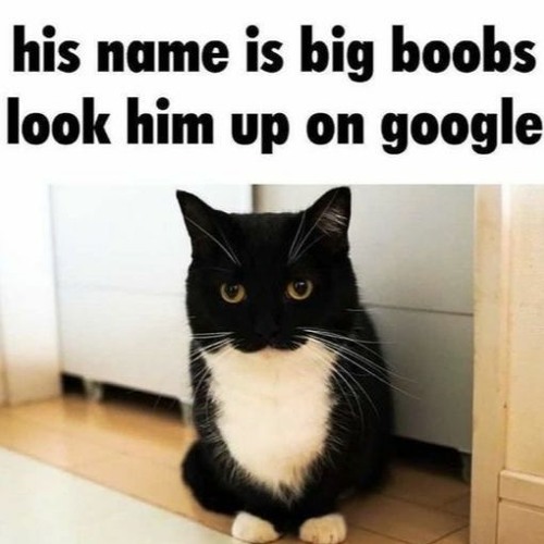 ¡Tetas Grandes!
