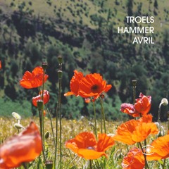 Troels Hammer - Avril 14th - s0592