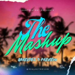 The Mashup (BV5 Preview) - DJ Trevon