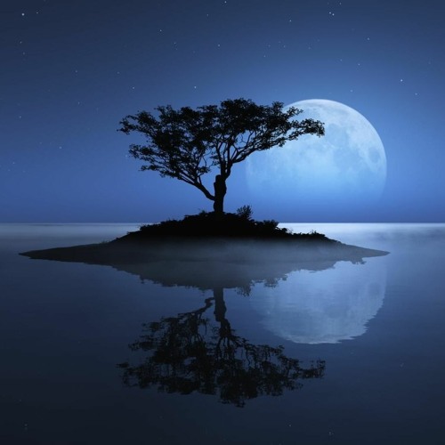 Twilight