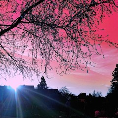 These Beautiful Days 2