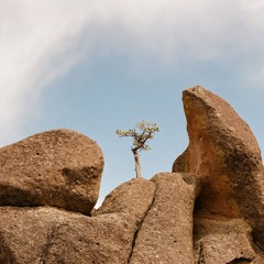 time is the cruelest thief (2019)