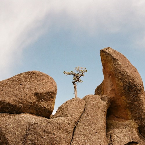 time is the cruelest thief (2019)