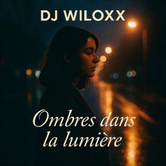 DJ Wiloxx - Ombres dans la lumière