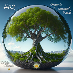 Organic Essential Beads #o2