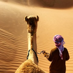 BEDOUIN COMMUTE