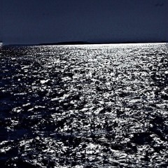 سورة المائدة لاحمد سالم