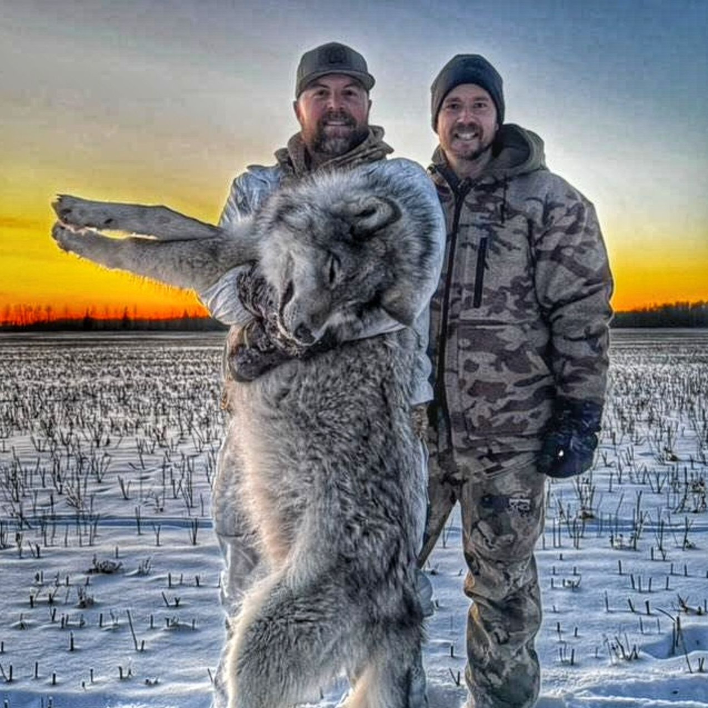 Predator Pros Episode 79: Geoff's Alberta Wolf Hunt with Kyler Knelsen episode artwork