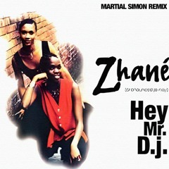 Hey Mr. D.J. - Zhanè (Martial Simon Remix)