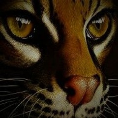 Ocelot (Free DL)