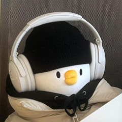 Ruby Chan (AKIMBØ PLUGGNB FLIP)