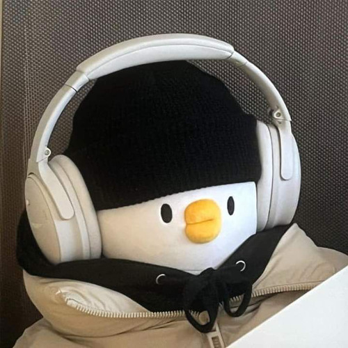Ruby Chan (AKIMBØ PLUGGNB FLIP)
