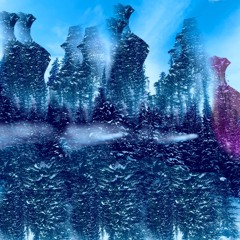 Sky Forest