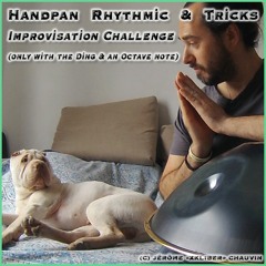 Handpan Rhythmic And Tricks Improvisation Challenge (only Ding and Octave note)