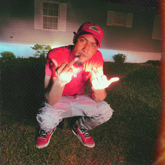 Still Fly
