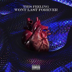 this feelin wont last 4ever (interlude)