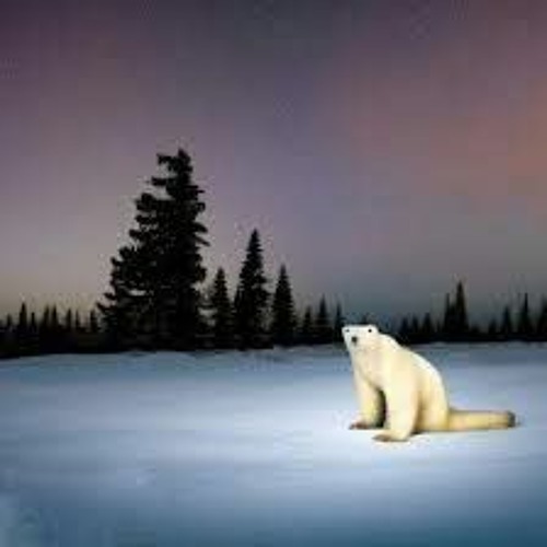 Stream Fnf Vs 2026 Bear Hypothermia By Monday Listen Online For