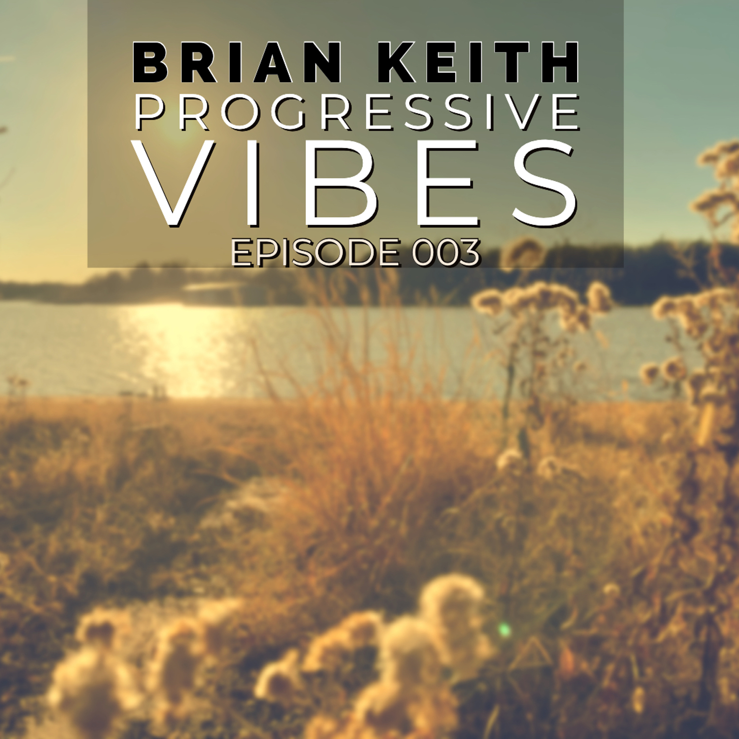 Brian Keith - Progressive Vibes