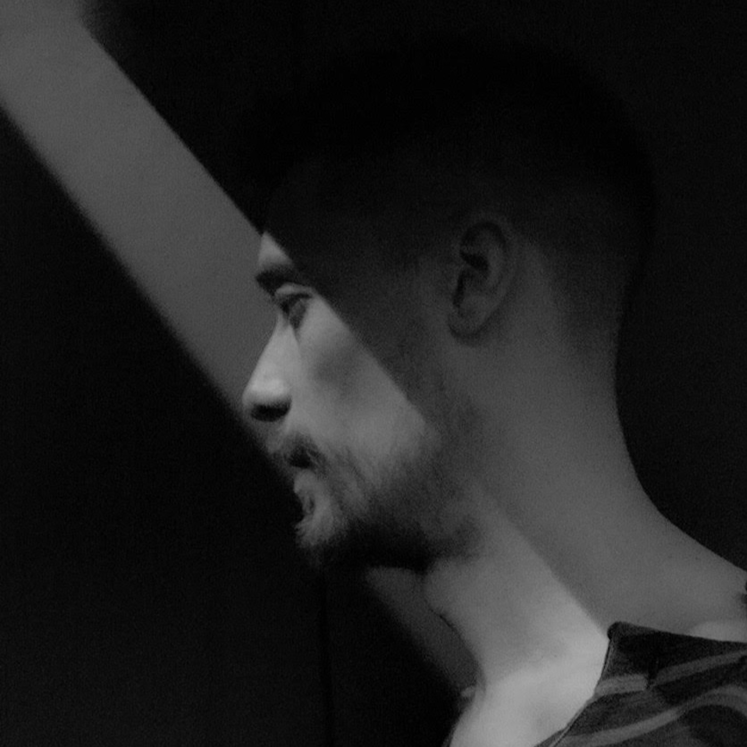 db Artists Musique