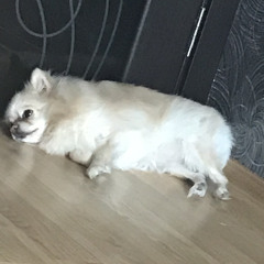все хотят тусить с молли speed up