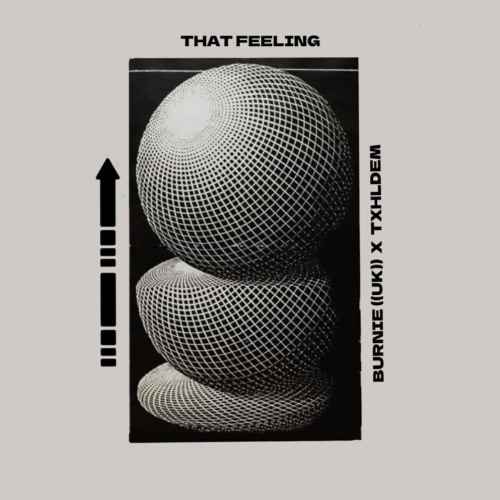 PremEar: Burnie (UK) & TXHLDEM - That Feeling [FREE DOWNLOAD]