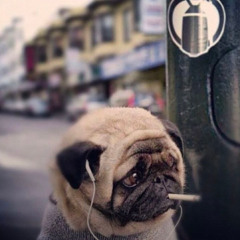 libra - тендер (prod. janecocaine + glorykeyz)