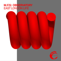 M.F.S: Observatory - Dirty Day In Hackney Wick