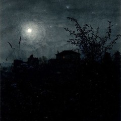 Nocturnal