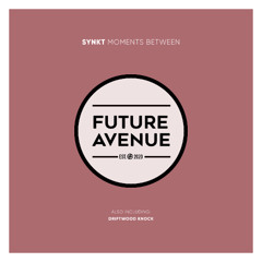 SYNKT - Driftwood Knock [Future Avenue]