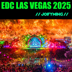 IF I PLAYED EDC LAS VEGAS 2025